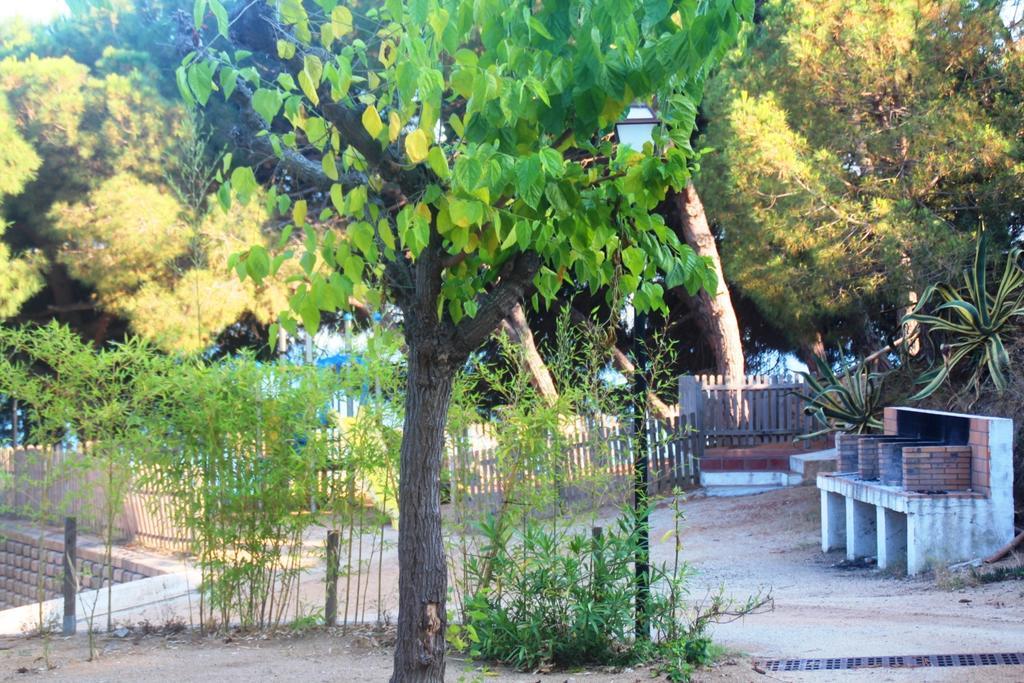 Camping Kanguro Sant Pol De Mar Dış mekan fotoğraf