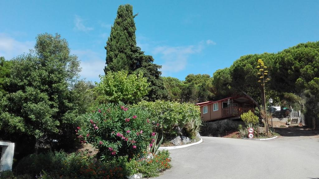 Camping Kanguro Sant Pol De Mar Dış mekan fotoğraf